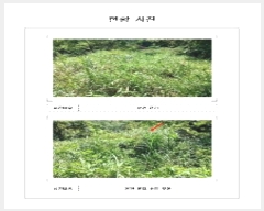  2024Ÿ��55130 ���� ���ȱ� ������ ������ 204-14      ����(��1)���