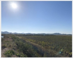  2024Ÿ��56317  ���������