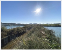  2024Ÿ��56317  ���������