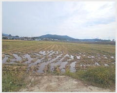  2024Ÿ��57204  ����