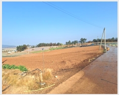  2024Ÿ��57952 ���� ���ȱ� ������ õ�帮 106-1      ����(��1)���