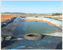  2024Ÿ��57952 ���� ���ȱ� ������ õ�帮 106-1      ����(��1)���