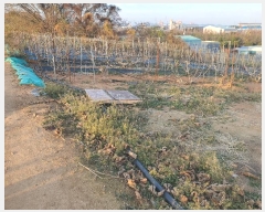  2024Ÿ��58122  �����