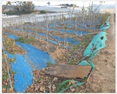  2024Ÿ��58122  �����