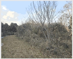  2024Ÿ��58269  �����