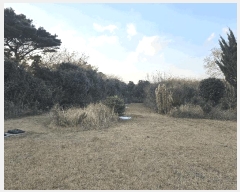  2024Ÿ��58269  �����