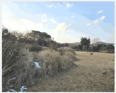  2024Ÿ��58269  �����