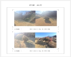  2024Ÿ��58269  �����