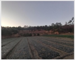  2024Ÿ58276  žȱ   475      (1)