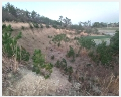  2024Ÿ58276  žȱ   475      (1)