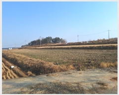  2024Ÿ58320  ϱ  帮 1647-12      ()