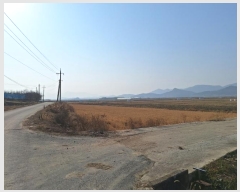  2024Ÿ58320  ϱ  帮 1647-12      ()