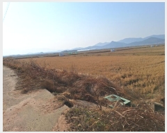  2024Ÿ58320  ϱ  帮 1647-12      ()