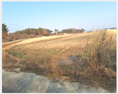  2024Ÿ58320  ϱ  帮 1647-12      ()