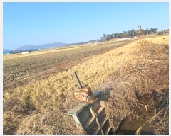  2024Ÿ58320  ϱ  帮 1647-12      ()