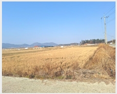  2024Ÿ58320  ϱ  帮 1647-12      ()