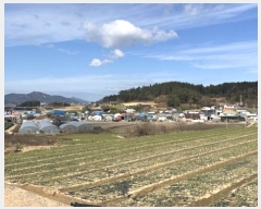  2024Ÿ58412  žȱ ȱݸ  985      (1)