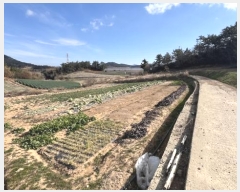  2024Ÿ58412  žȱ ȱݸ  985      (1)