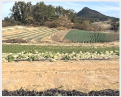  2024Ÿ58412  žȱ ȱݸ  985      (1)