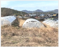  2024Ÿ58412  žȱ ȱݸ  985      (1)