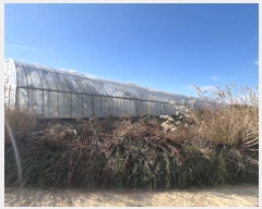  2024Ÿ58412  žȱ ȱݸ  985      (1)