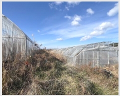  2024Ÿ58412  žȱ ȱݸ  985      (1)