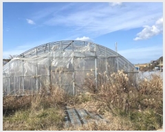  2024Ÿ58412  žȱ ȱݸ  985      (1)