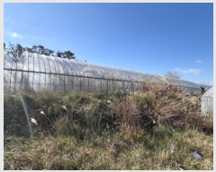  2024Ÿ58412  žȱ ȱݸ  985      (1)