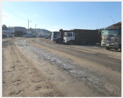  2024Ÿ58535  ϱ ȣ  859-1      ()