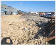  2024Ÿ58535  ϱ ȣ  859-1      ()