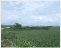  2024Ÿ��2631 ���� ���ϱ� ������ ���и� 912-5      ������