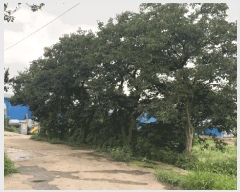  2024Ÿ��2631 ���� ���ϱ� ������ ���и� 912-5      ������