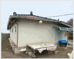  2024Ÿ��50555  ���ð��