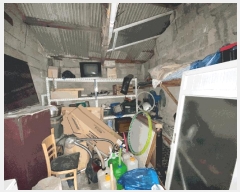  2024Ÿ��50555  ���ð��