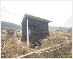  2024Ÿ��50555  ���ð��