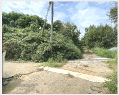  2024Ÿ��55697  ���������