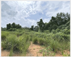  2024Ÿ��55697  ���������