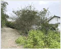  2024Ÿ��55697  ���������