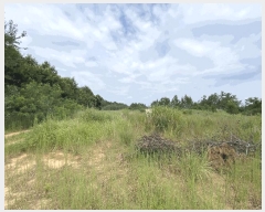  2024Ÿ��55697  ���������