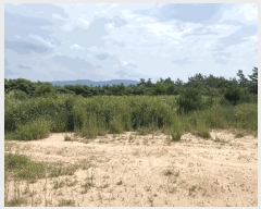  2024Ÿ��55697  ���������