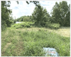  2024Ÿ��55697  ���������