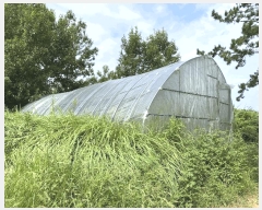  2024Ÿ��55697  ���������