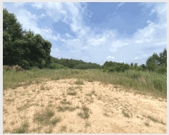  2024Ÿ��55697  ���������