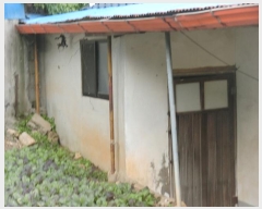  2024Ÿ��57419  ���ð��