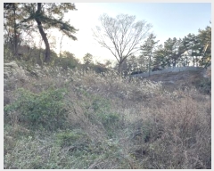  2024Ÿ57938  ȱ   194-2      (Ӿ)