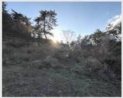  2024Ÿ57938  ȱ   194-2      (Ӿ)