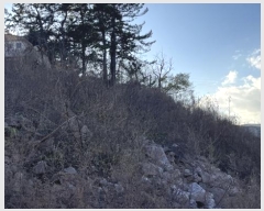  2024Ÿ57938  ȱ   194-2      (Ӿ)