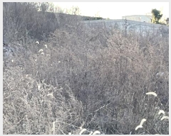  2024Ÿ57938  ȱ   194-2      (Ӿ)