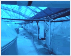  2024Ÿ��57983 ���� ���� �պҸ� ��â�� 522-2      �������