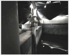  2024Ÿ��57983 ���� ���� �պҸ� ��â�� 522-2      �������